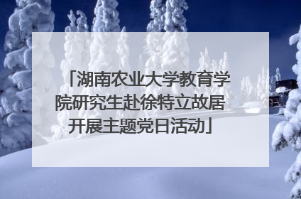 湖南农业大学教育学院研究生赴徐特立故居开展主题党日活动