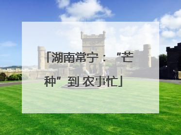 湖南常宁：“芒种”到 农事忙