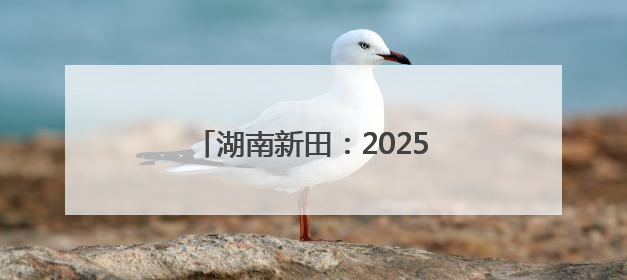 湖南新田：2025年高考首日 考生自信步入考场（组图）
