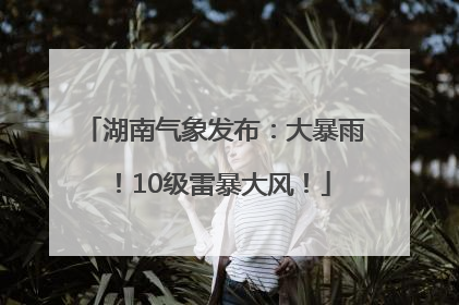 湖南气象发布：大暴雨！10级雷暴大风！