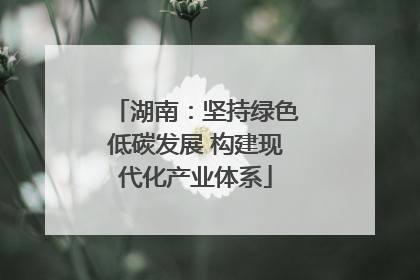 湖南：坚持绿色低碳发展 构建现代化产业体系