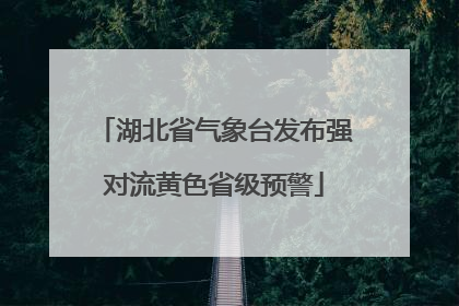 湖北省气象台发布强对流黄色省级预警