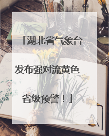 湖北省气象台发布强对流黄色省级预警！