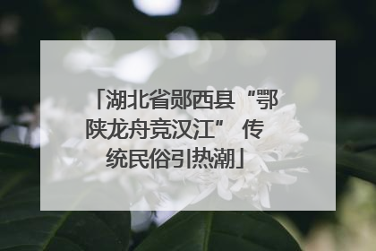 湖北省郧西县“鄂陕龙舟竞汉江” 传统民俗引热潮