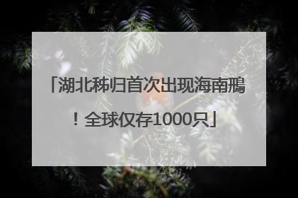 湖北秭归首次出现海南鳽！全球仅存1000只