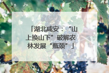 湖北咸安：“山上换山下”破解农林发展“瓶颈”