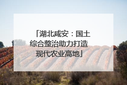 湖北咸安：国土综合整治助力打造现代农业高地