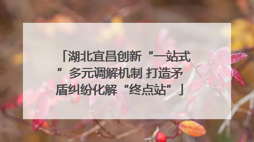 湖北宜昌创新“一站式”多元调解机制 打造矛盾纠纷化解“终点站”