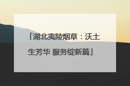 湖北夷陵烟草：沃土生芳华 服务绽新篇
