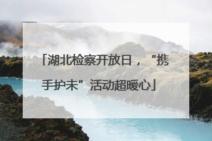 湖北检察开放日，“携手护未”活动超暖心