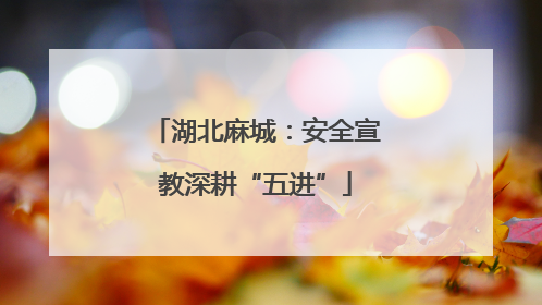 湖北麻城：安全宣教深耕“五进”
