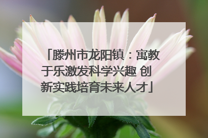 滕州市龙阳镇：寓教于乐激发科学兴趣 创新实践培育未来人才