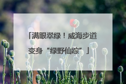 满眼翠绿！威海步道变身“绿野仙踪”