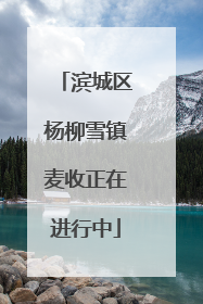 滨城区杨柳雪镇麦收正在进行中