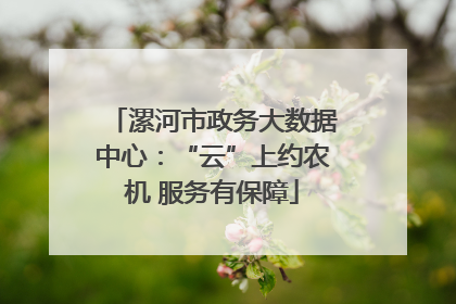 漯河市政务大数据中心：“云”上约农机 服务有保障