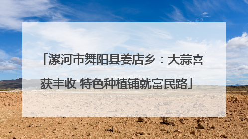 漯河市舞阳县姜店乡：大蒜喜获丰收 特色种植铺就富民路