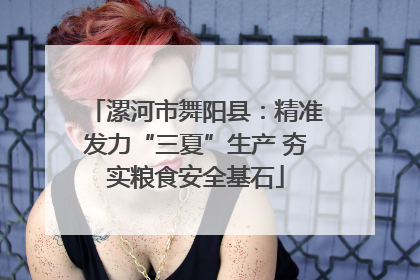 漯河市舞阳县：精准发力“三夏”生产 夯实粮食安全基石