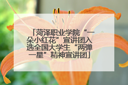 菏泽职业学院“一朵小红花”宣讲团入选全国大学生“两弹一星”精神宣讲团
