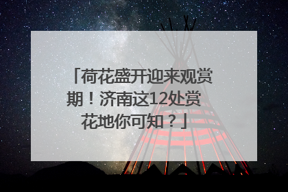 荷花盛开迎来观赏期！济南这12处赏花地你可知？
