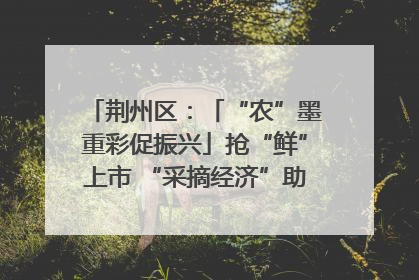荆州区：「“农”墨重彩促振兴」抢“鲜”上市 “采摘经济”助农“甜蜜增收”