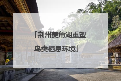 荆州菱角湖重塑鸟类栖息环境