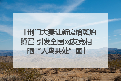 荆门夫妻让新房给斑鸠孵蛋 引发全国网友竞相晒“人鸟共处”图