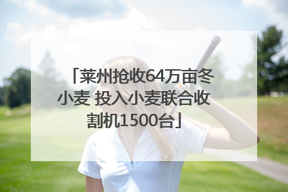 莱州抢收64万亩冬小麦 投入小麦联合收割机1500台