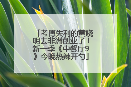 考博失利的黄晓明去非洲创业了！新一季《中餐厅9》今晚热辣开勺