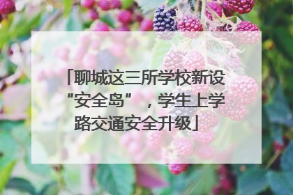 聊城这三所学校新设“安全岛”，学生上学路交通安全升级