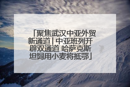 聚焦武汉中亚外贸新通道│中亚班列开辟双通道 哈萨克斯坦饲用小麦将抵鄂