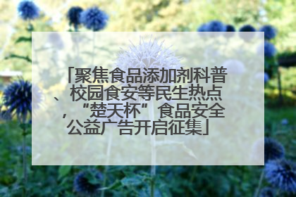 聚焦食品添加剂科普、校园食安等民生热点，“楚天杯”食品安全公益广告开启征集
