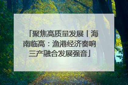 聚焦高质量发展丨海南临高：渔港经济奏响三产融合发展强音