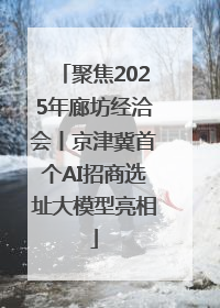 聚焦2025年廊坊经洽会丨京津冀首个AI招商选址大模型亮相