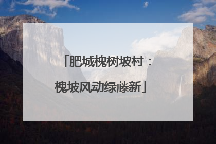 肥城槐树坡村：槐坡风动绿藤新
