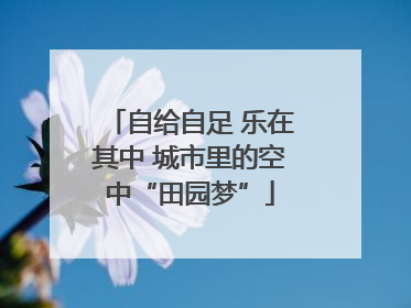 自给自足 乐在其中 城市里的空中“田园梦”
