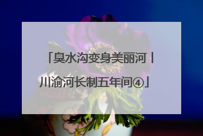臭水沟变身美丽河丨川渝河长制五年间④