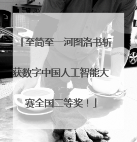 至简至一河图洛书斩获数字中国人工智能大赛全国二等奖！