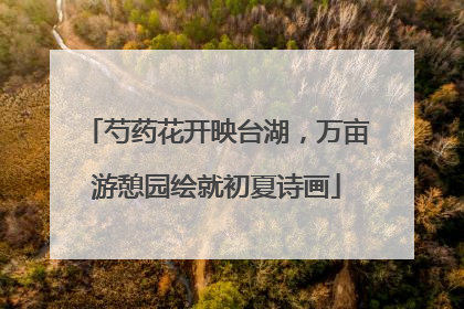 芍药花开映台湖，万亩游憩园绘就初夏诗画
