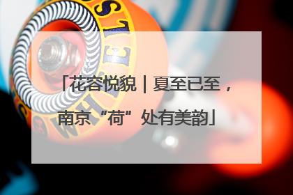 花容悦貌｜夏至已至，南京“荷”处有美韵