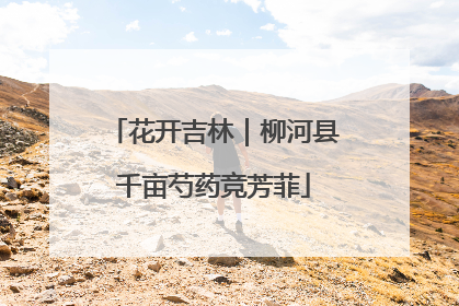 花开吉林｜柳河县千亩芍药竞芳菲