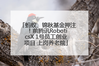 蚂蚁、锦秋基金押注！前腾讯RoboticsX 1号员工创业项目 上岗养老院
