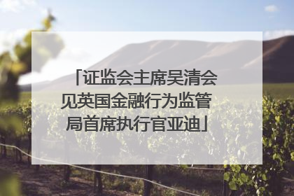 证监会主席吴清会见英国金融行为监管局首席执行官亚迪