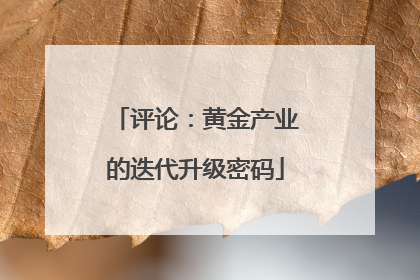 评论：黄金产业的迭代升级密码