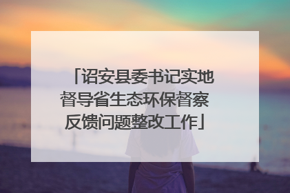 诏安县委书记实地督导省生态环保督察反馈问题整改工作