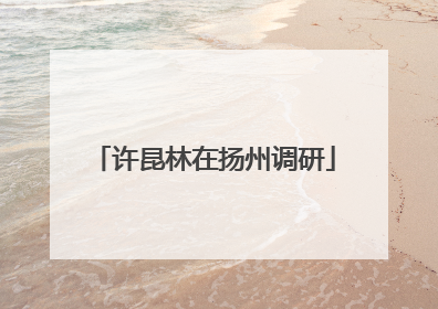 许昆林在扬州调研