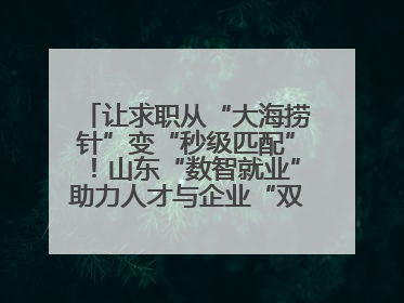 让求职从“大海捞针”变“秒级匹配”！山东“数智就业”助力人才与企业“双向奔赴”