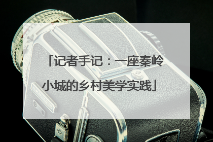 记者手记：一座秦岭小城的乡村美学实践