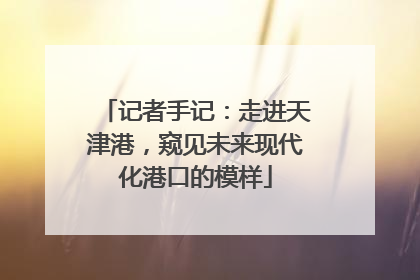 记者手记：走进天津港，窥见未来现代化港口的模样