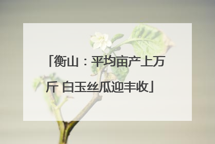 衡山：平均亩产上万斤 白玉丝瓜迎丰收
