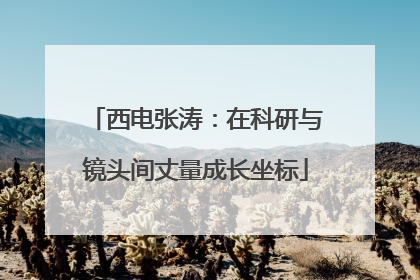 西电张涛：在科研与镜头间丈量成长坐标